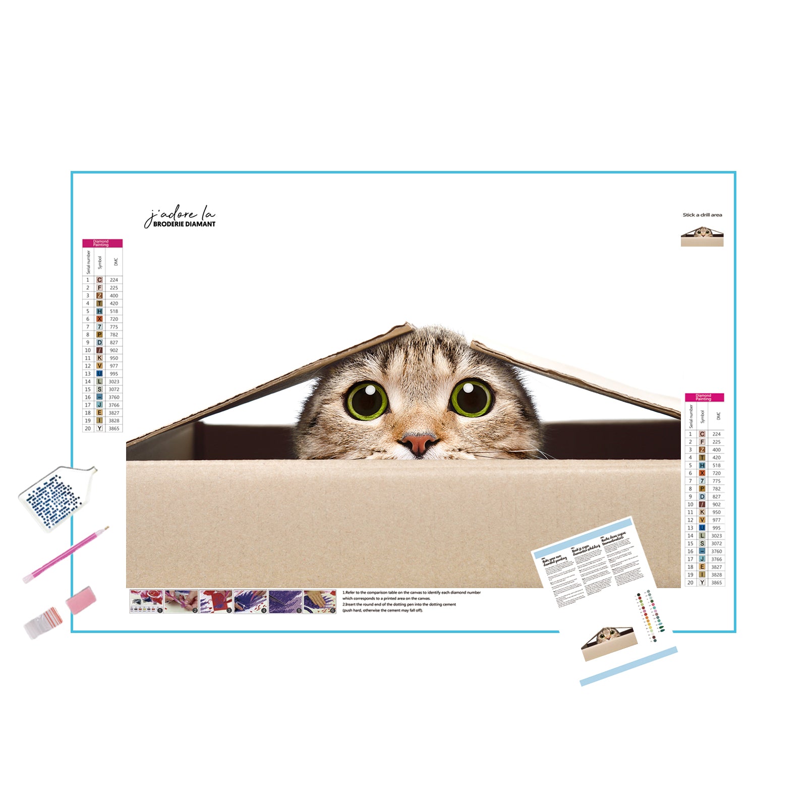 Un chat drôle dans la boîte
