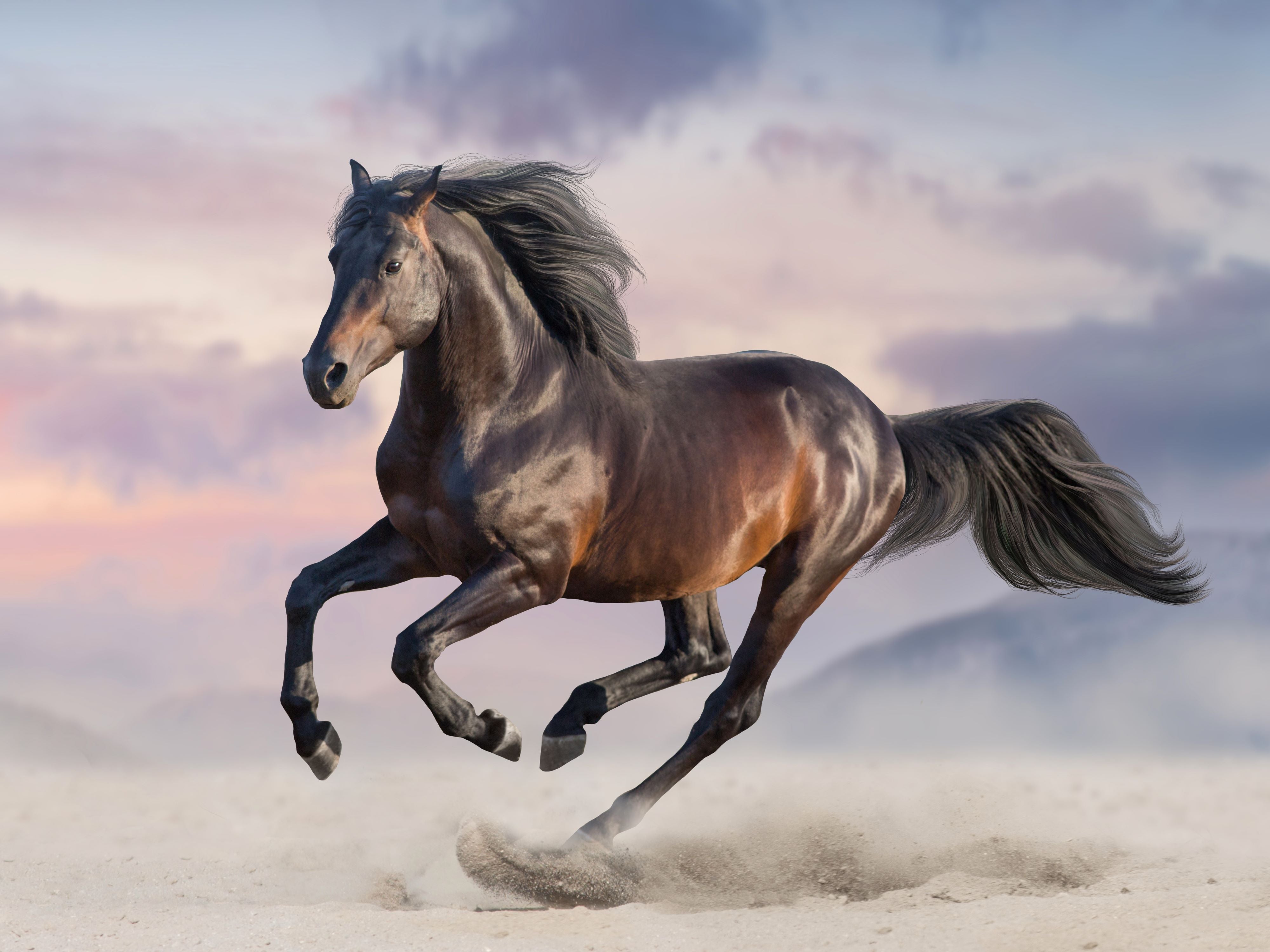 Un cheval solitaire marche ou court dans un désert immense et inhospitalier dans cette broderie diamant,symbole de liberté et de force. Cheval sur Desert - j'adore la broderie diamant