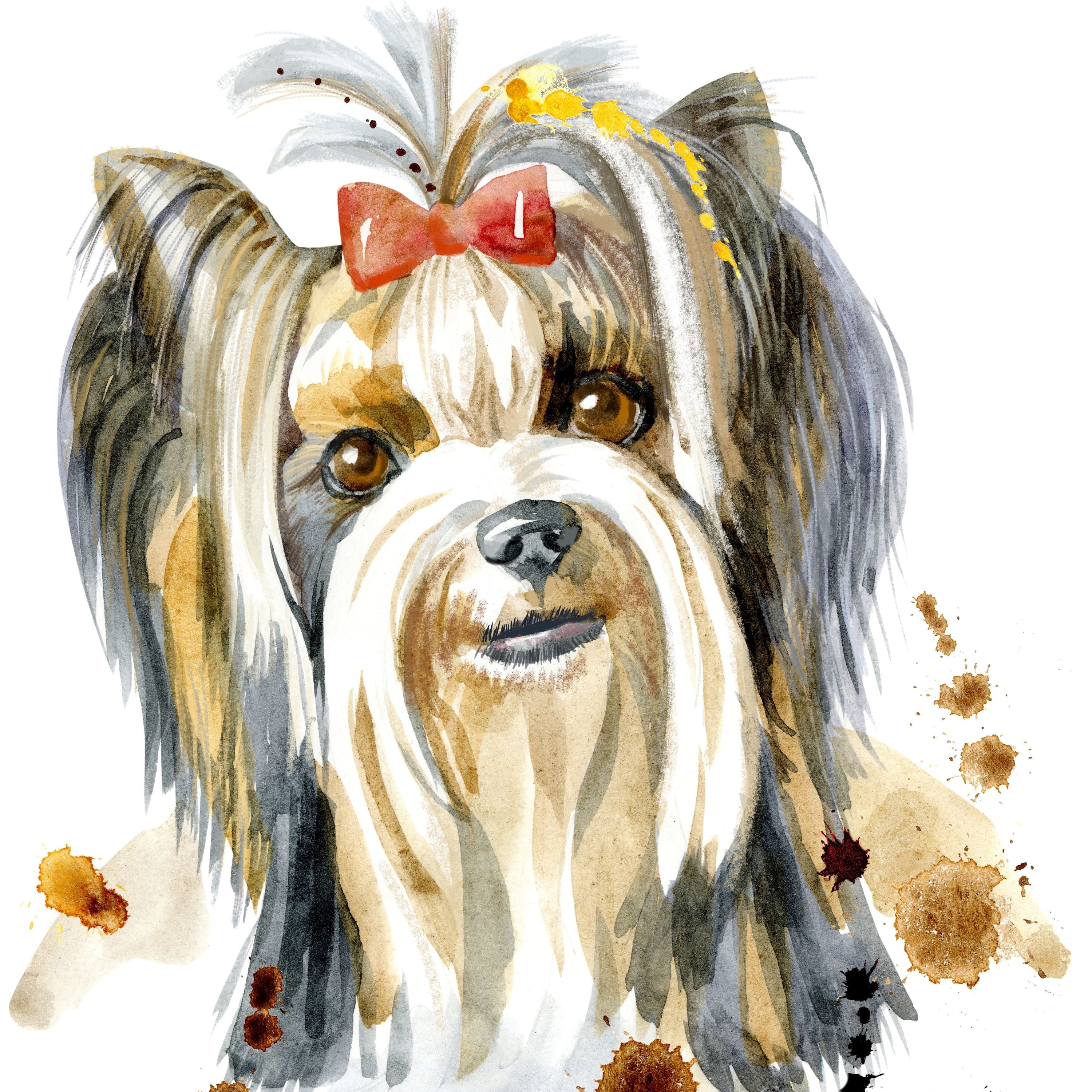 Le Yorkshire terrier est petit et délicat dans cette broderie diamant, avec des oreilles dresses et une fourrure abondant et longue. Leurs yeux sont généralement grands et lumineux, avec une expression intelligente et agile. Chien Yorkshire - j'adore la broderie diamant