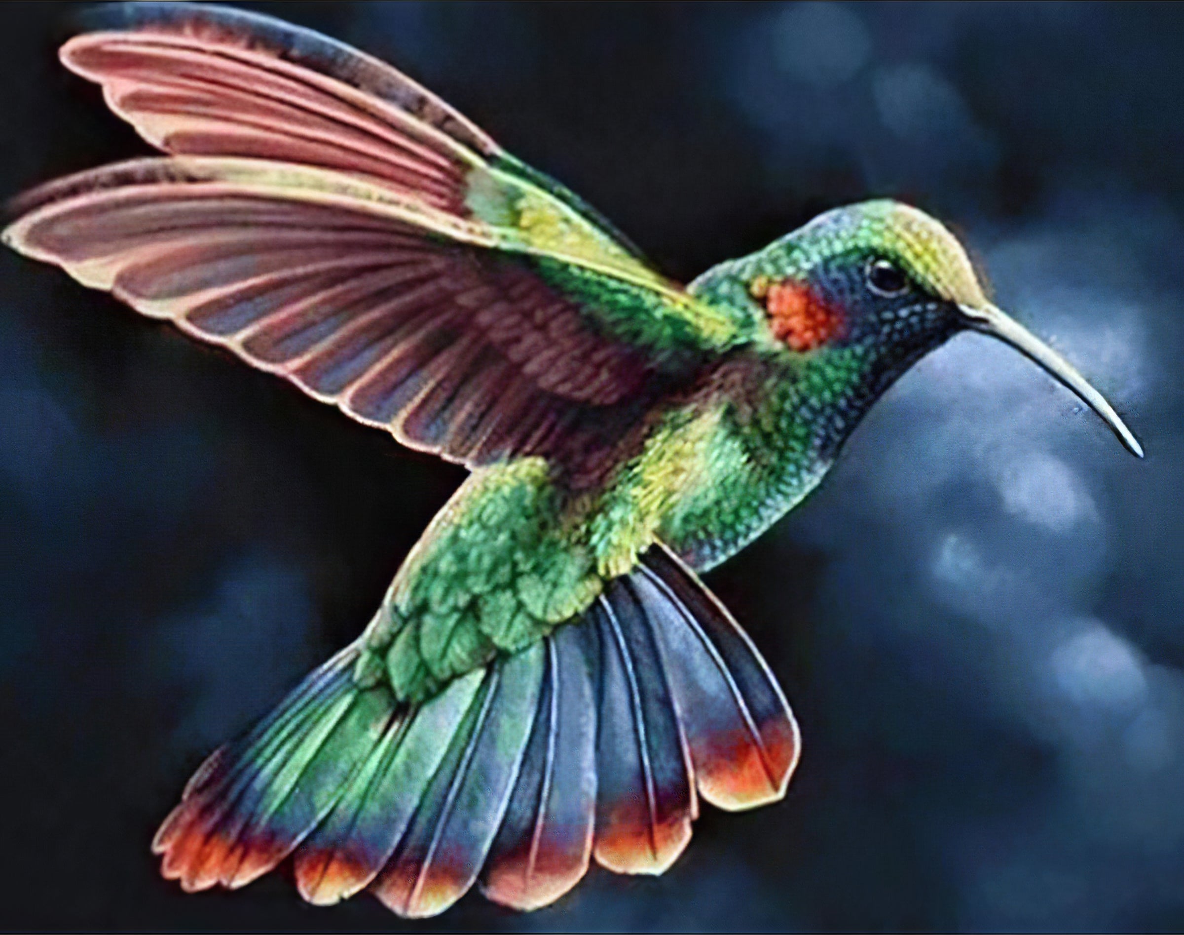 Admirez la beauté délicate d'un colibri en vol dans cette broderie diamant. Colibri - j'adore la broderie diamant 