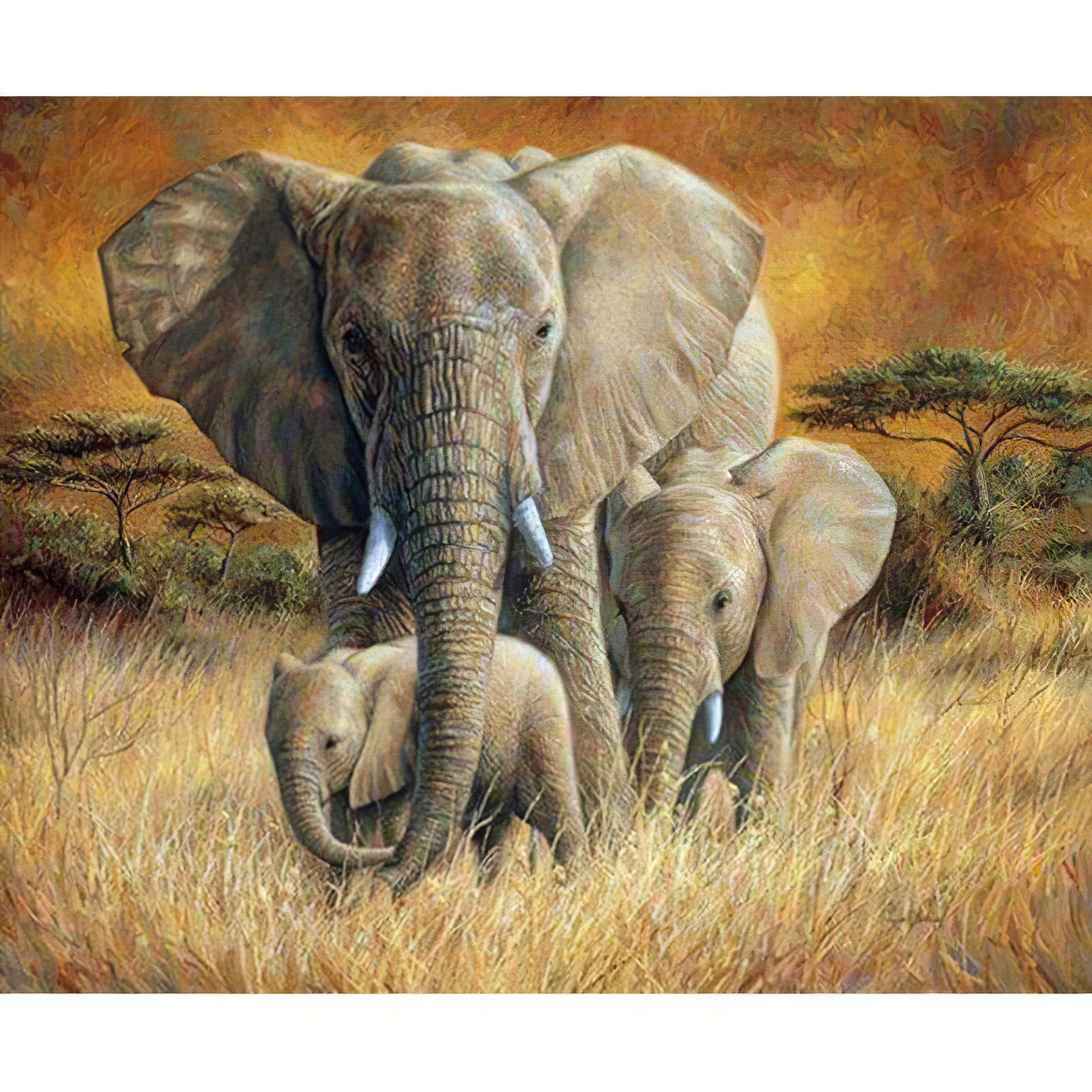 Famille d'éléphants