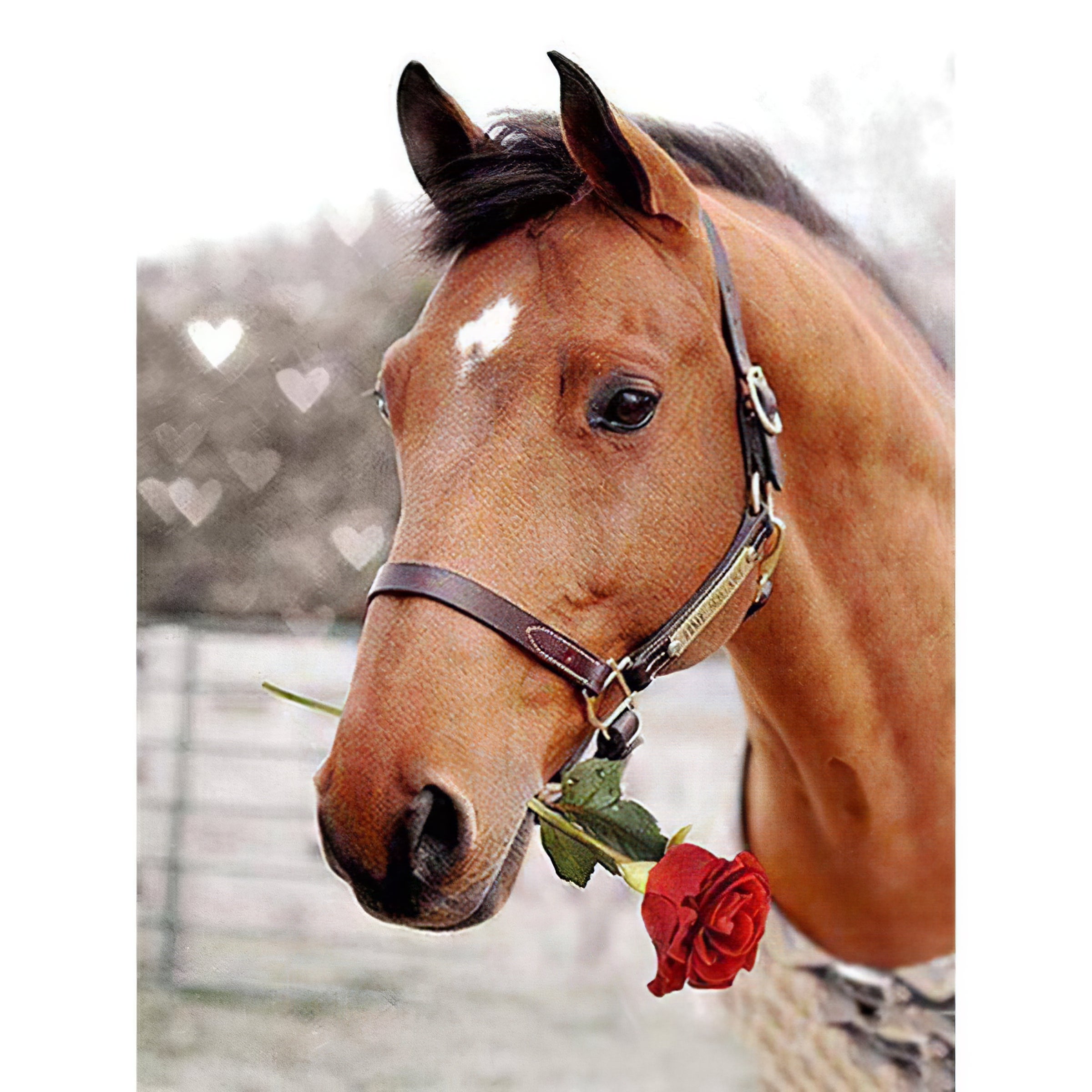 Vivez la romance avec un cheval chargé de roses dans cette broderie diamant. Le cheval ramasse la rose avec sa bouche - j'adore la broderie diamant